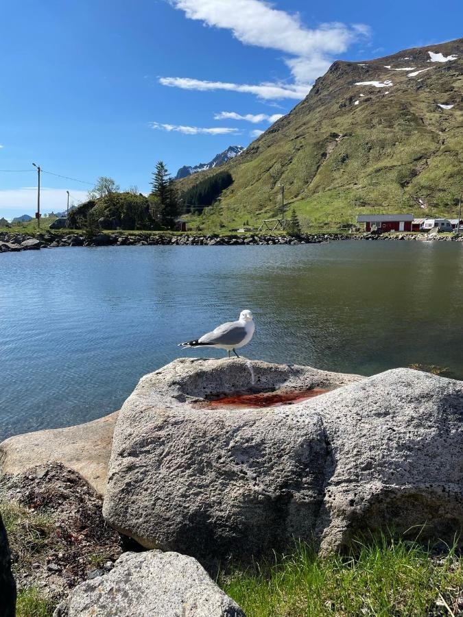 Brustranda Fjordcamping Valberg Εξωτερικό φωτογραφία
